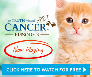 the truth about pet cancer