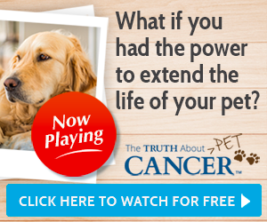 The Truth About Pet Cancer