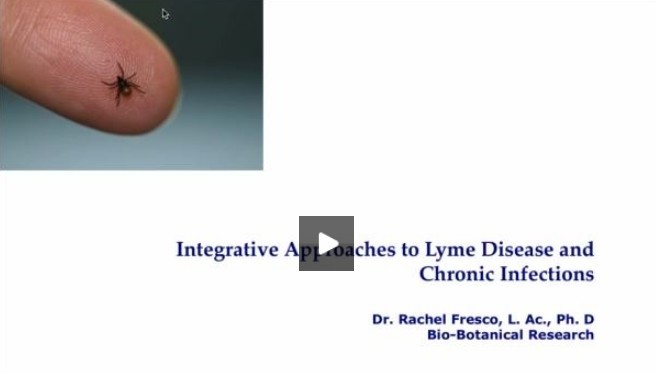 lyme disease tick rachael fresco bio botanical lecture at fmu