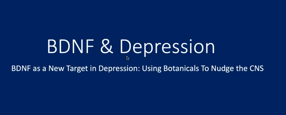 bdnf and depression lecture at FMU