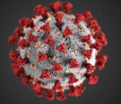 sars cov 2 virus