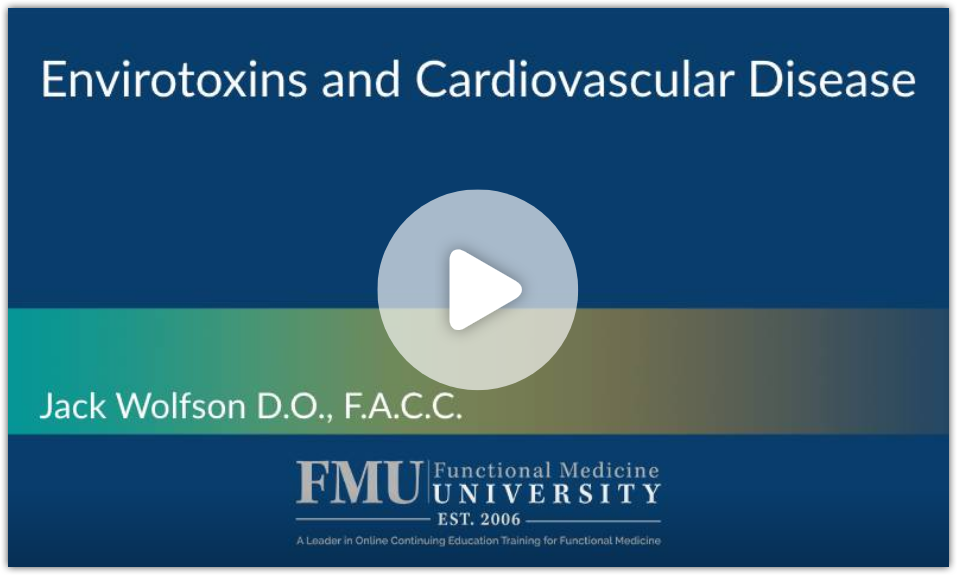 dr jack wolfson cardilogist lecture on envirotoxins and the heart