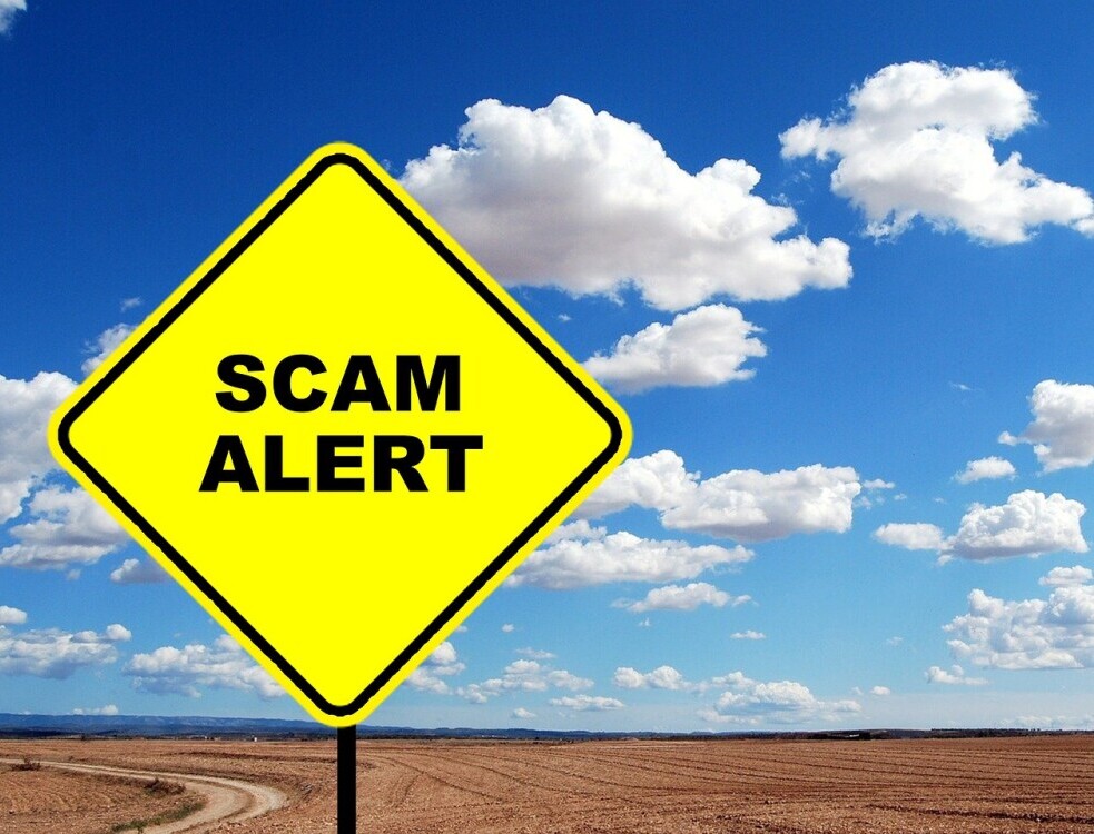 Is The FDN Course A Money Trap?